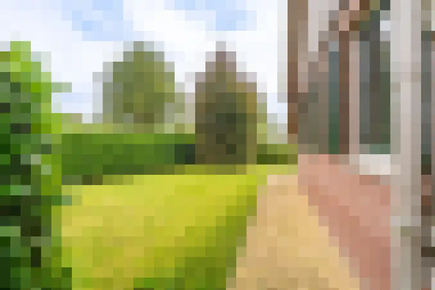 Verlengde Vennen 44 Vlagtwedde thumbnail 25