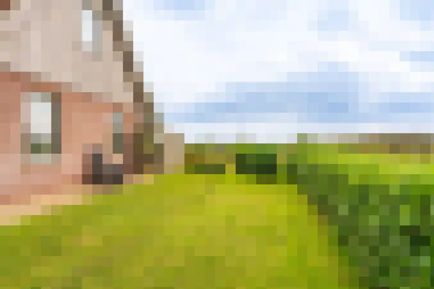 Verlengde Vennen 44 Vlagtwedde thumbnail 27