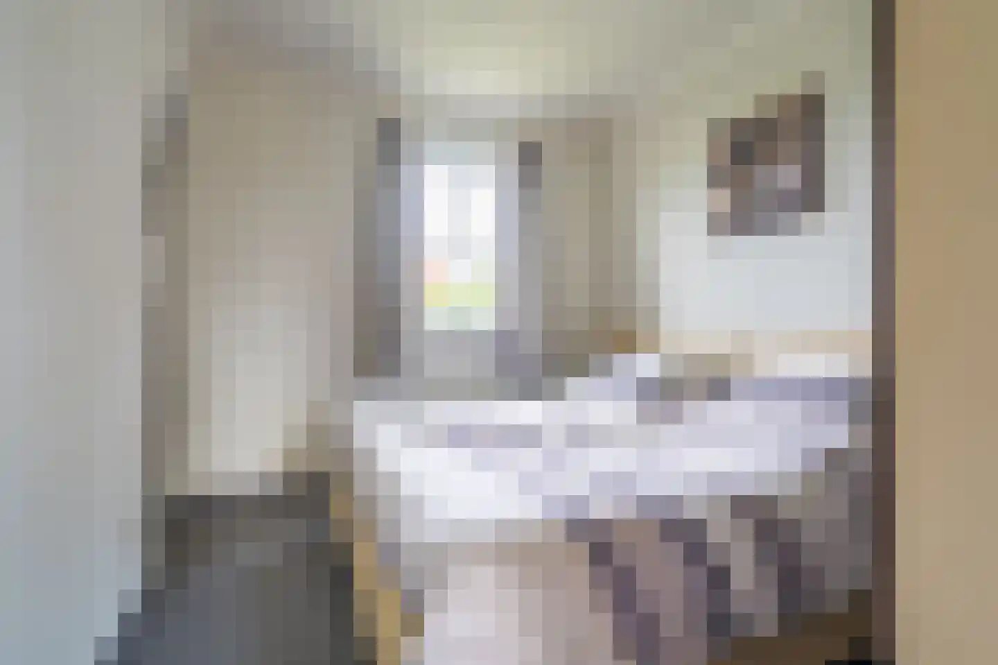 Verlengde Vennen 44 Vlagtwedde thumbnail 35
