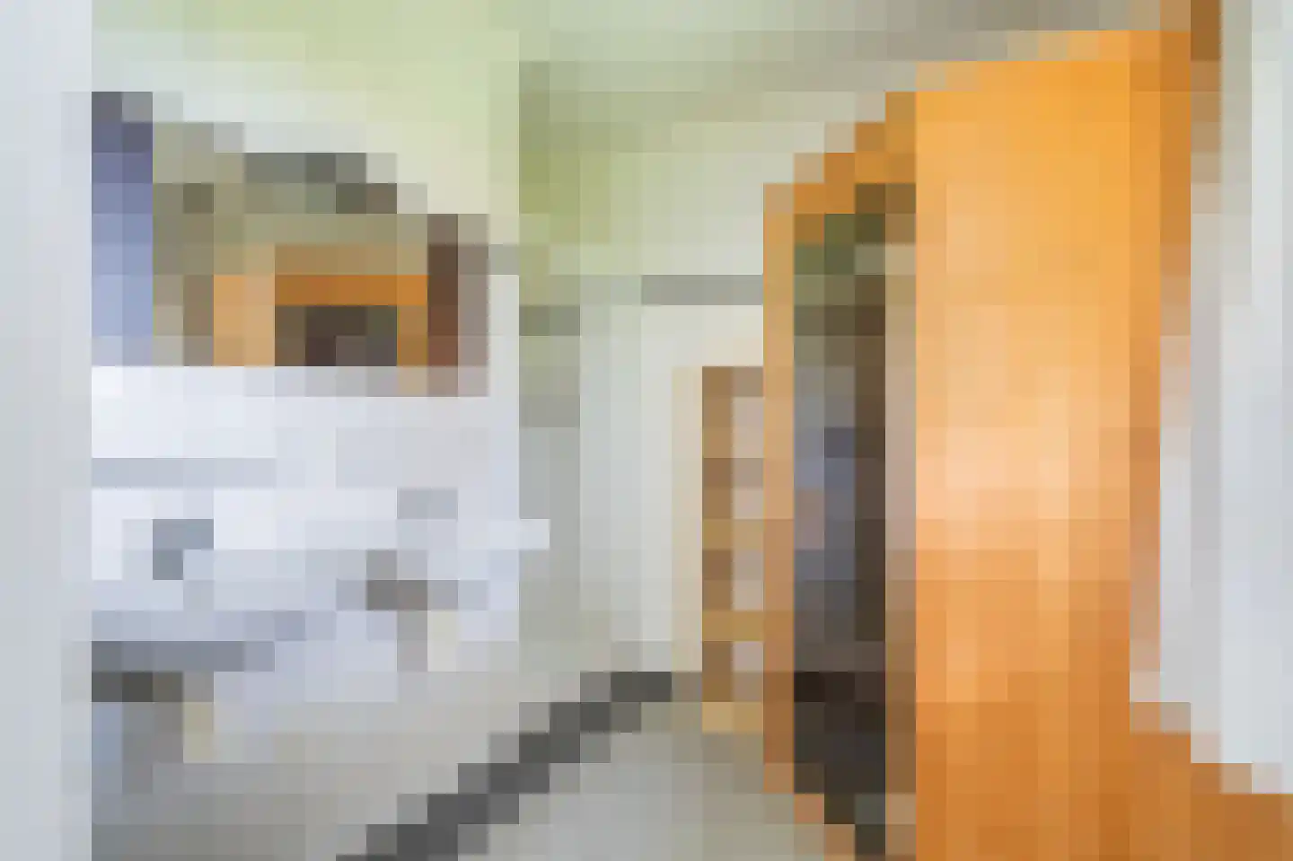 Verlengde Vennen 44 Vlagtwedde thumbnail 38