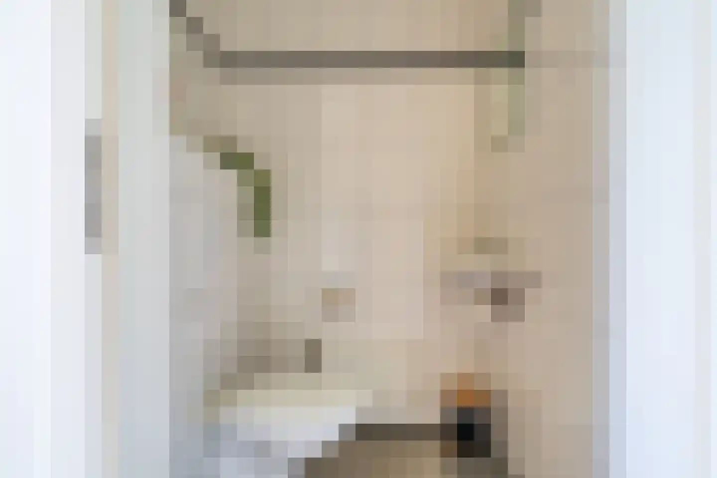 Verlengde Vennen 44 Vlagtwedde thumbnail 42