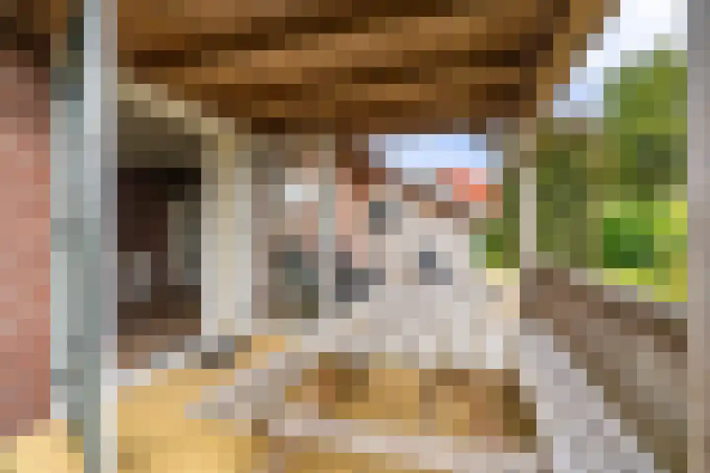 Verlengde Vennen 44 Vlagtwedde thumbnail 5