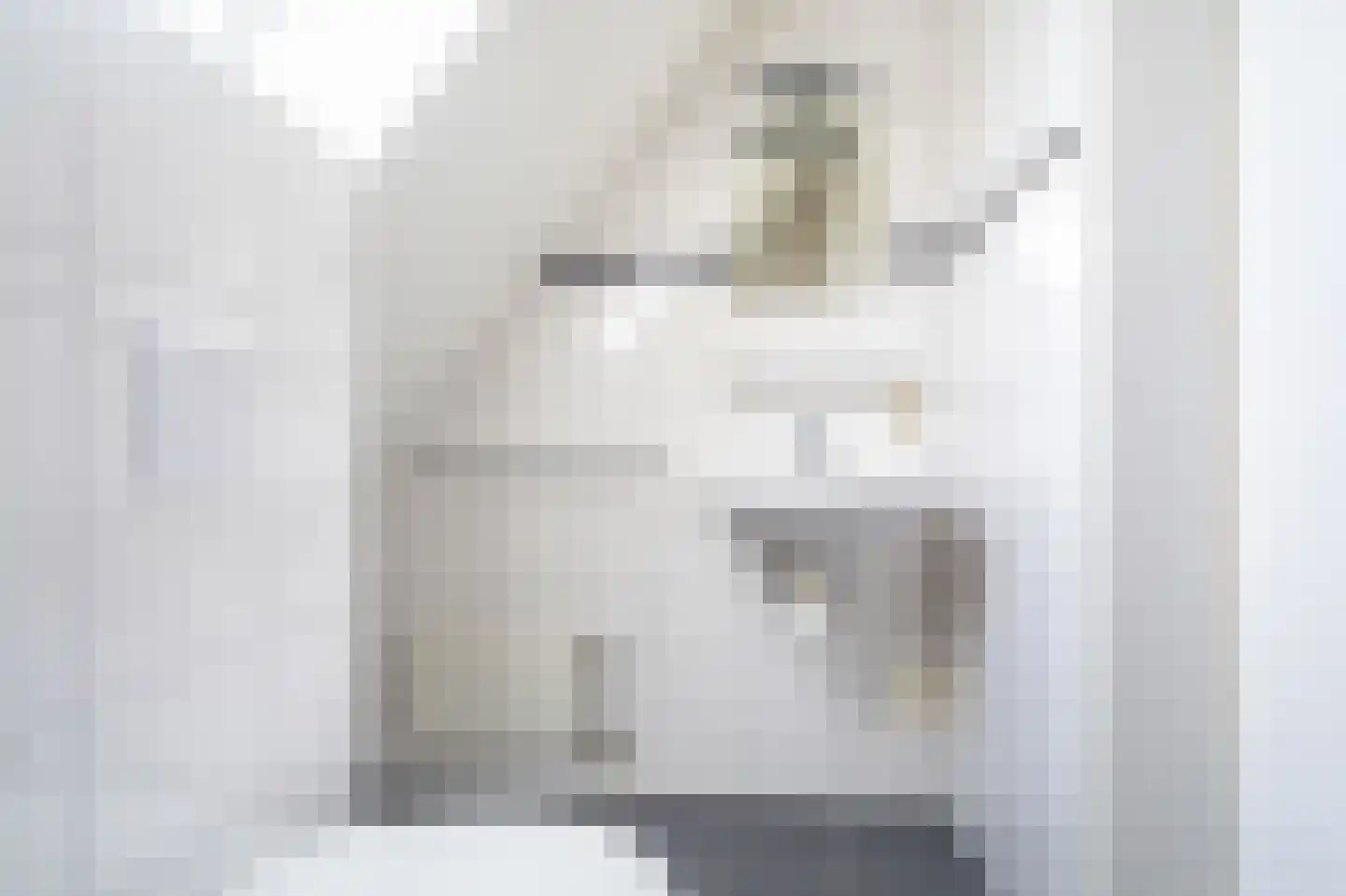 Verlengde Vennen 44 Vlagtwedde thumbnail 50