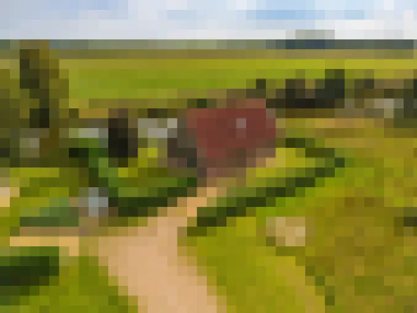 Verlengde Vennen 44 Vlagtwedde thumbnail 8