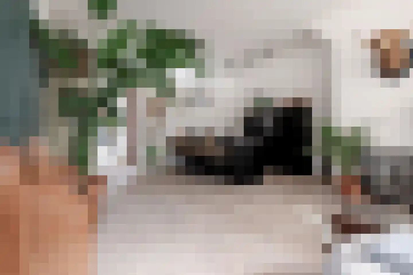 Verlengde Visserstraat 13 Groningen thumbnail 26