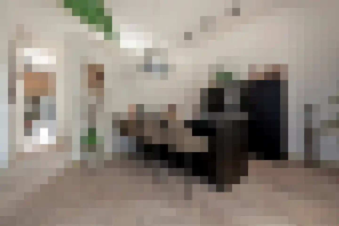 Verlengde Visserstraat 13 Groningen thumbnail 27