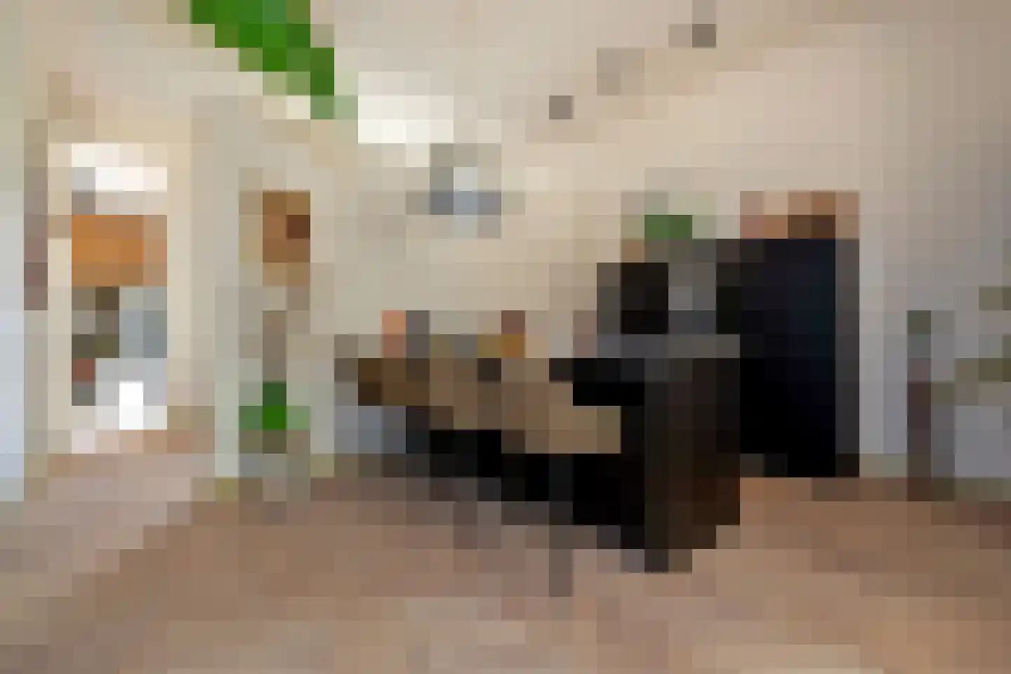 Verlengde Visserstraat 13 Groningen thumbnail 27
