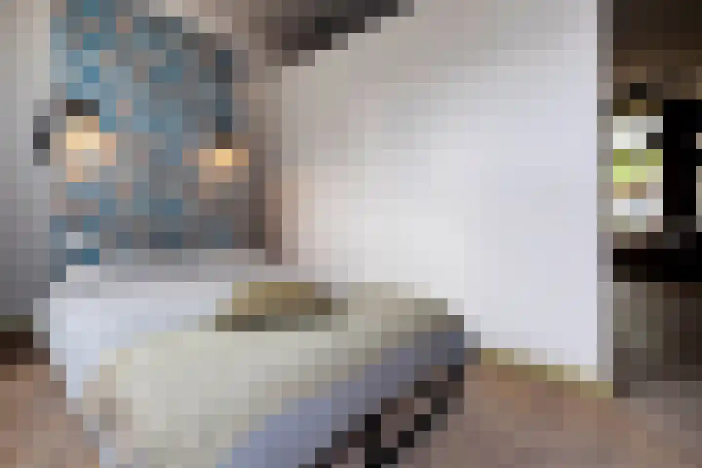 Verlengde Visserstraat 13 Groningen thumbnail 37