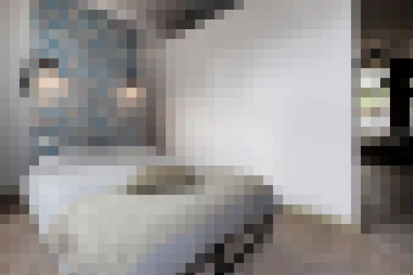Verlengde Visserstraat 13 Groningen thumbnail 37