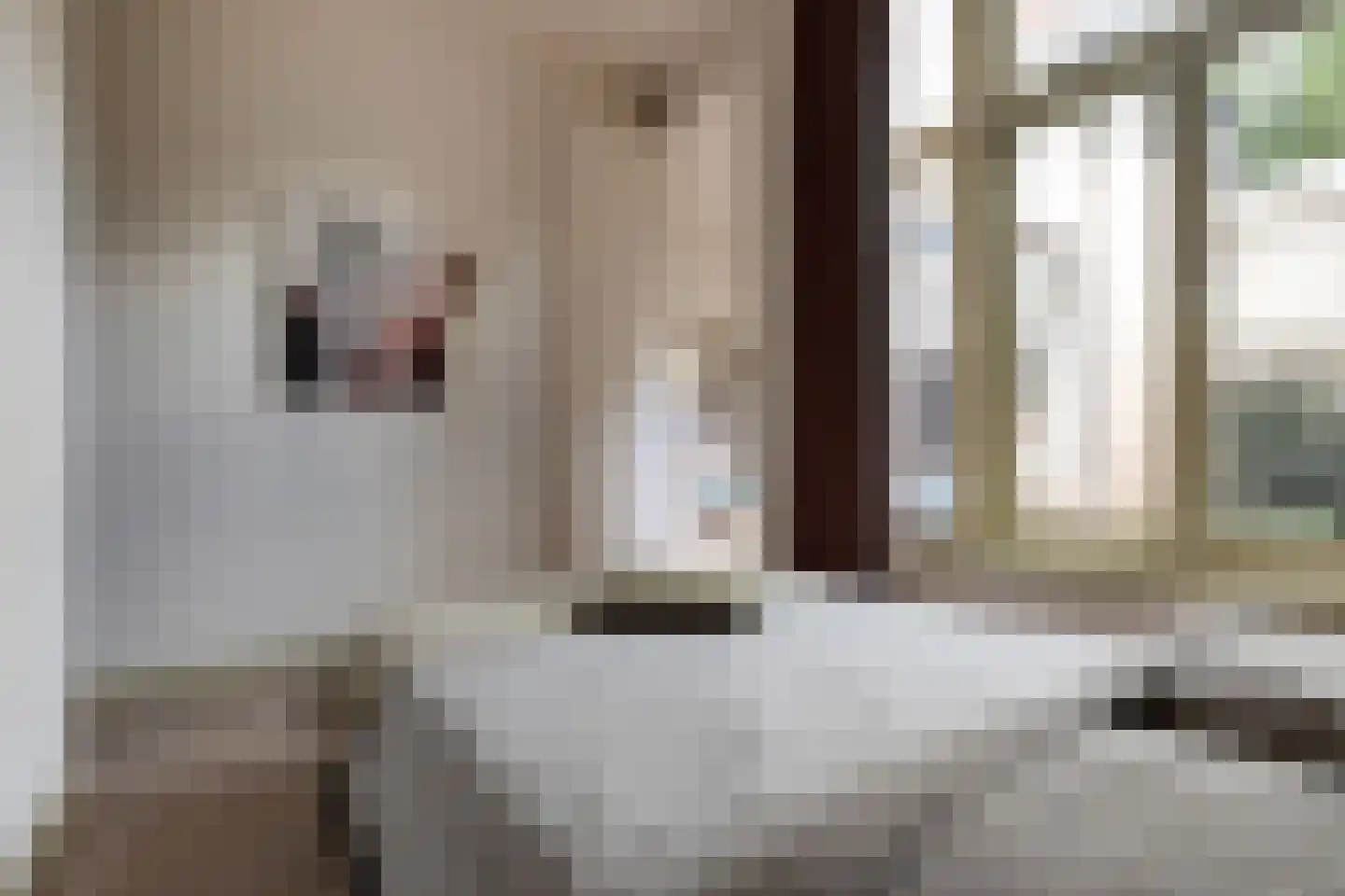 Verlengde Visserstraat 13 Groningen thumbnail 38
