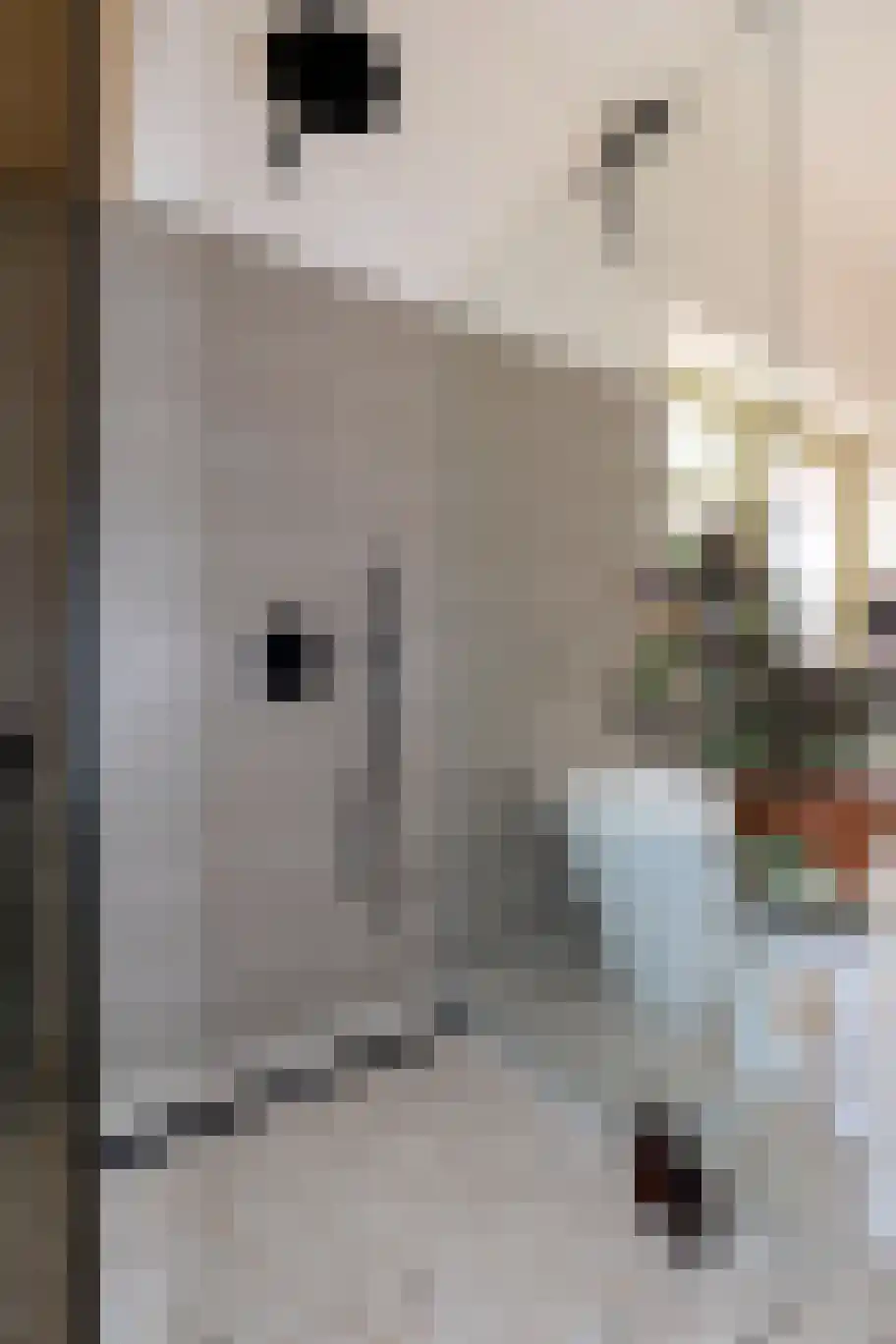 Verlengde Visserstraat 13 Groningen thumbnail 42