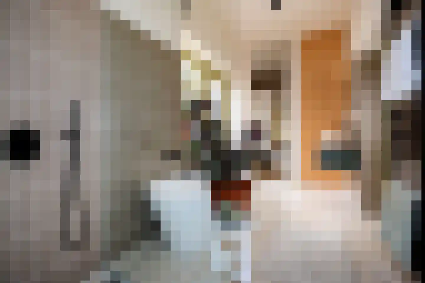 Verlengde Visserstraat 13 Groningen thumbnail 43