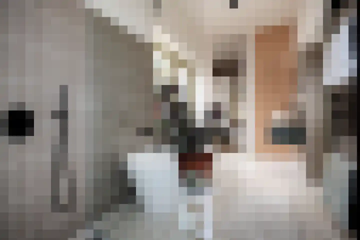 Verlengde Visserstraat 13 Groningen thumbnail 43