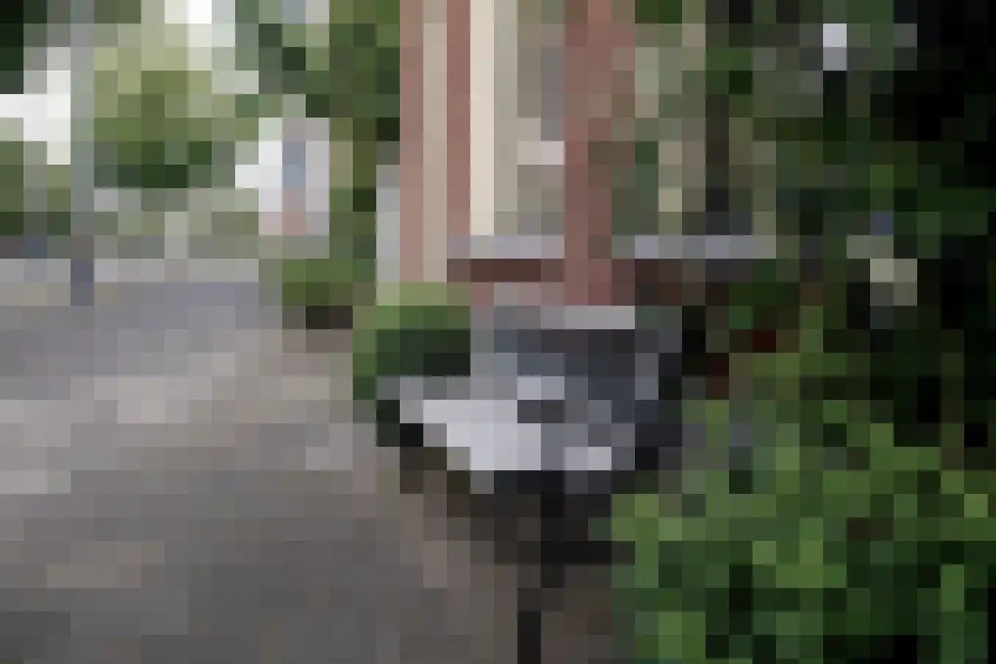 Verlengde Visserstraat 13 Groningen thumbnail 5