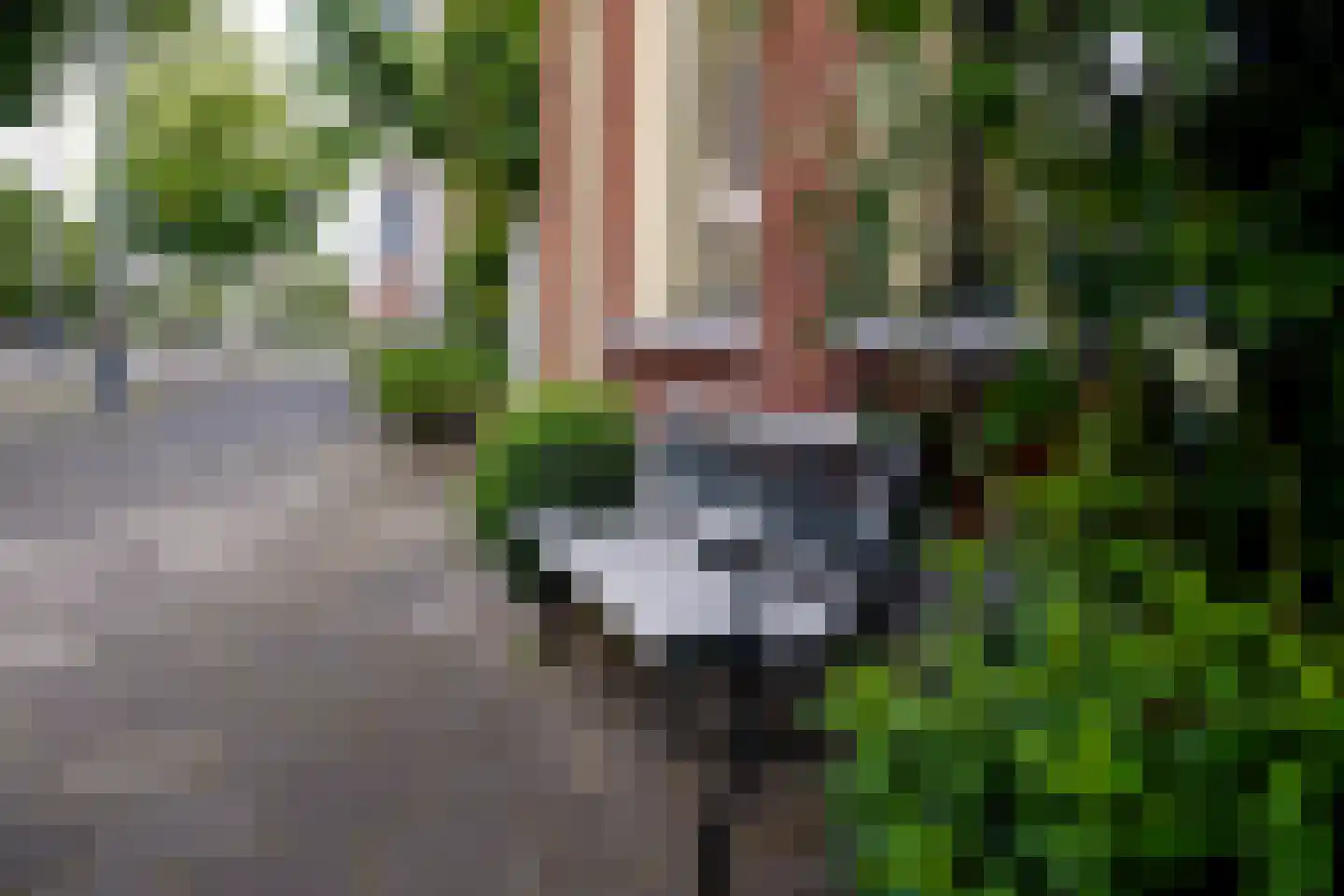 Verlengde Visserstraat 13 Groningen thumbnail 5