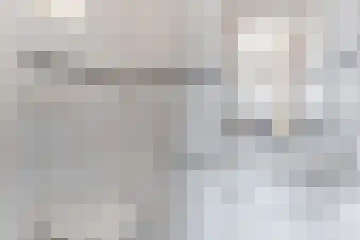 Verlengde Voorstraat 26 Wijk aan Zee thumbnail 15