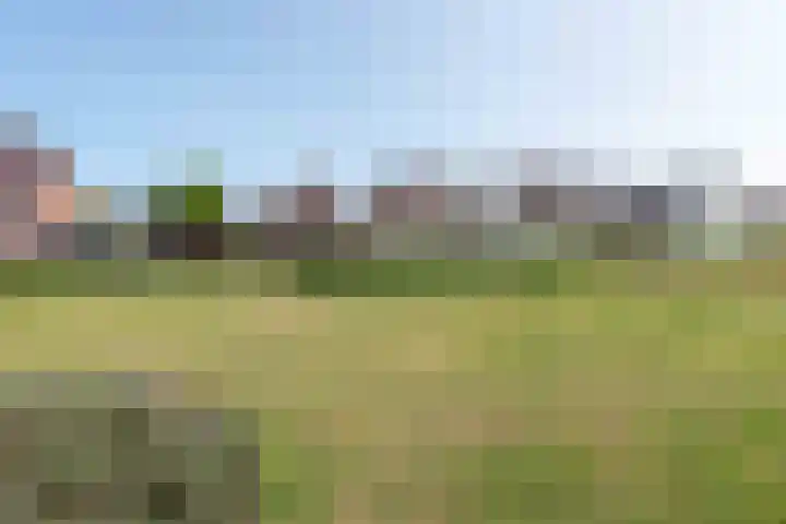 Verlengde Voorstraat 26 Wijk aan Zee thumbnail 37