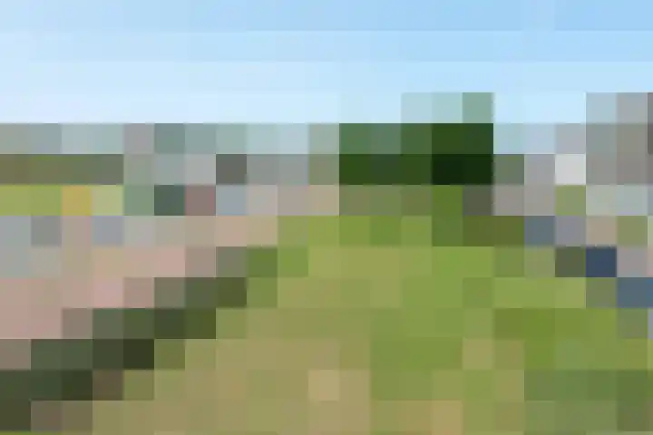 Verlengde Voorstraat 26 Wijk aan Zee thumbnail 41