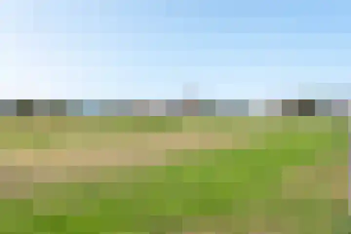 Verlengde Voorstraat 26 Wijk aan Zee thumbnail 42