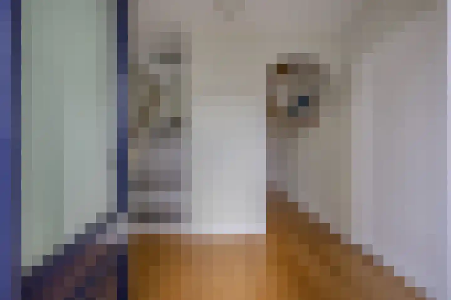 Verlengde Voorstraat 28 Wijk aan Zee thumbnail 11