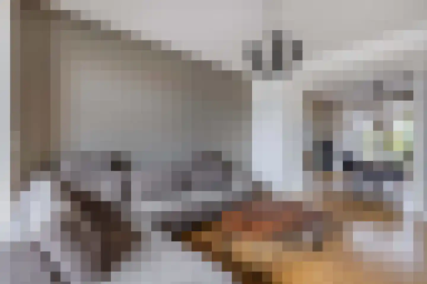 Verlengde Voorstraat 28 Wijk aan Zee thumbnail 15