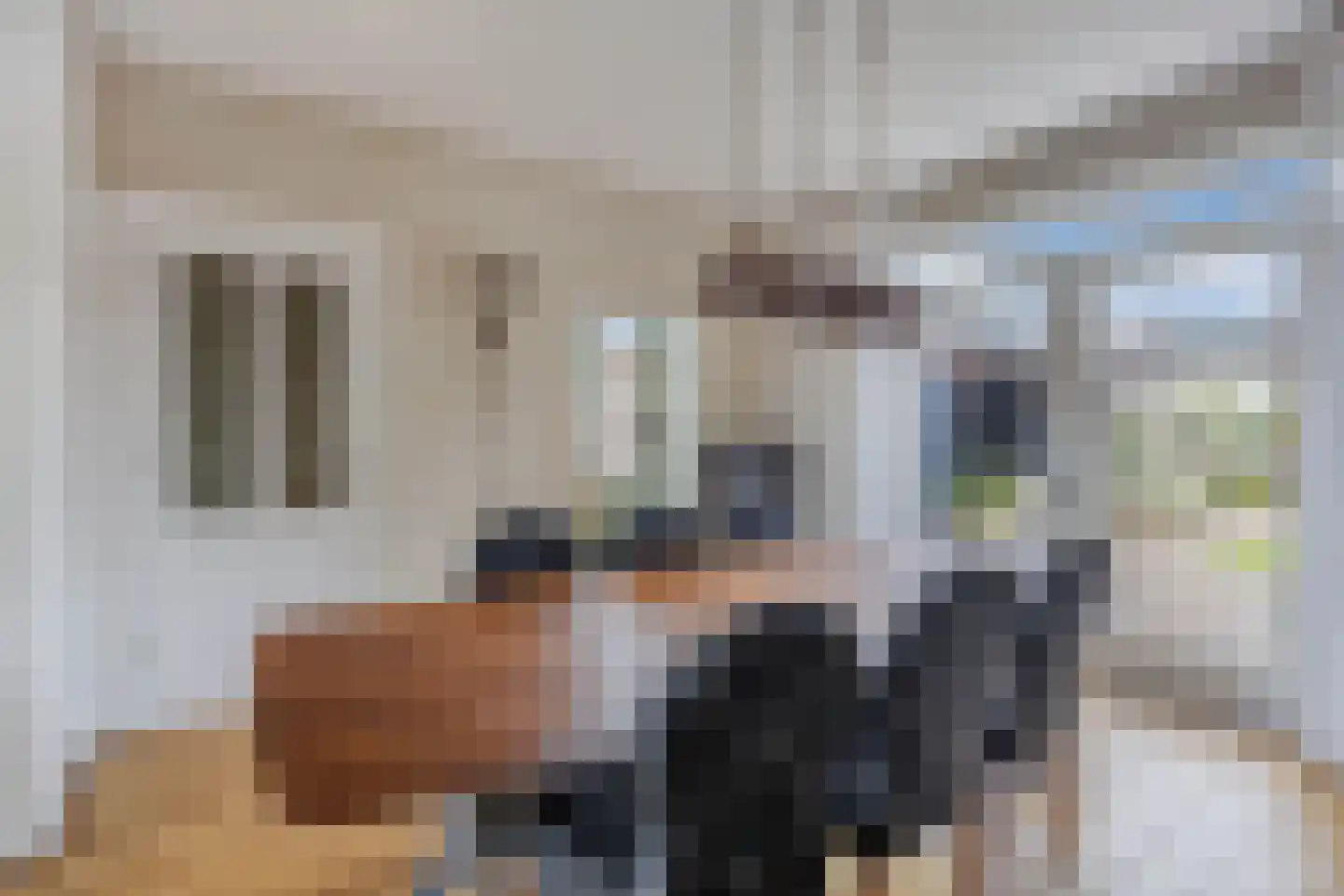 Verlengde Voorstraat 28 Wijk aan Zee thumbnail 17