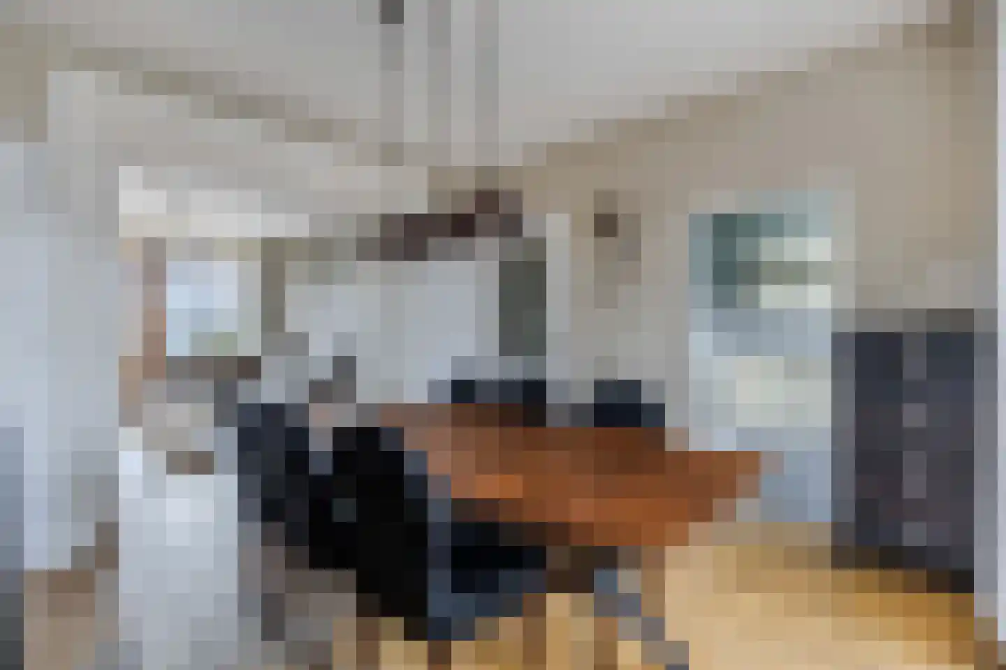 Verlengde Voorstraat 28 Wijk aan Zee thumbnail 20