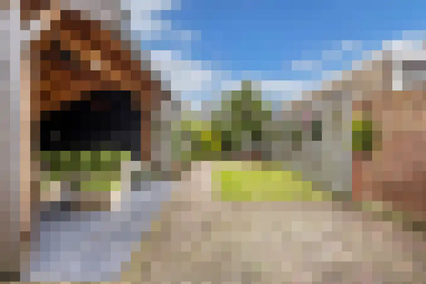 Verlengde Voorstraat 28 Wijk aan Zee thumbnail 32