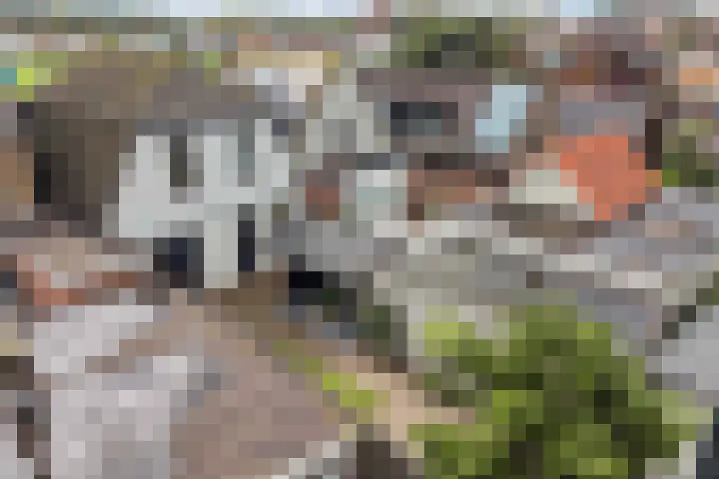 Verlengde Voorstraat 28 Wijk aan Zee thumbnail 40