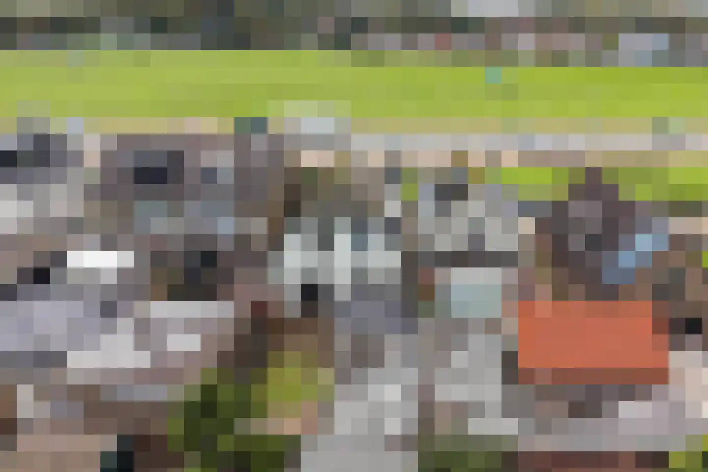 Verlengde Voorstraat 28 Wijk aan Zee thumbnail 41