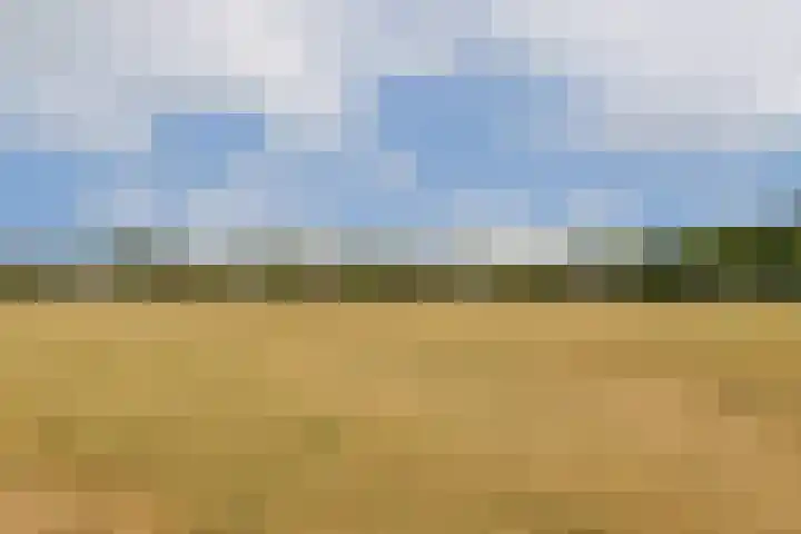 Verlengde Voorstraat 60 A Wijk aan Zee thumbnail 13