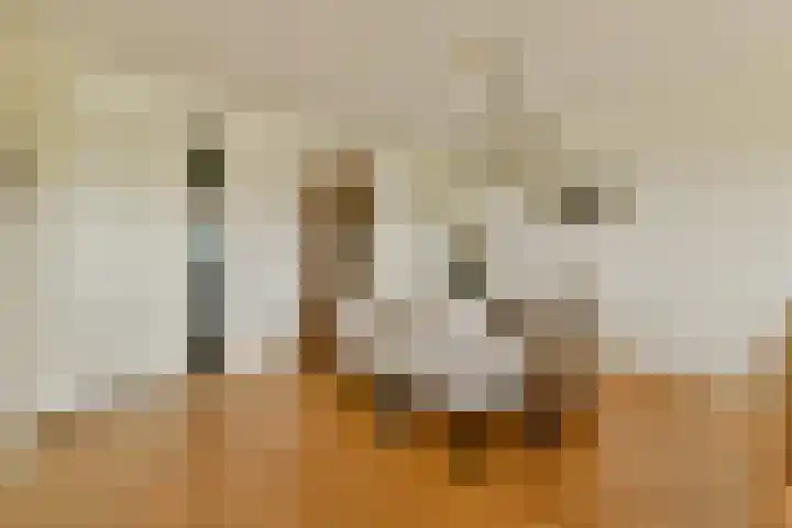 Verlengde Voorstraat 60 A Wijk aan Zee thumbnail 21