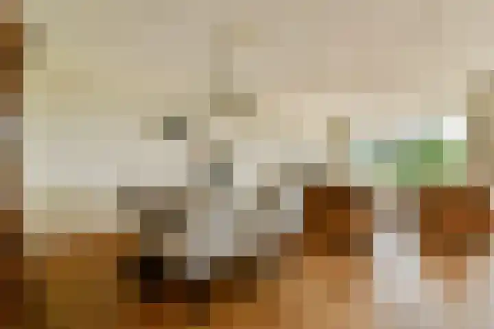 Verlengde Voorstraat 60 A Wijk aan Zee thumbnail 23
