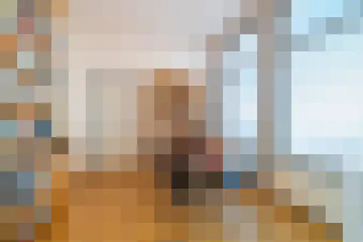 Verlengde Willemstraat 12 Groningen thumbnail 13