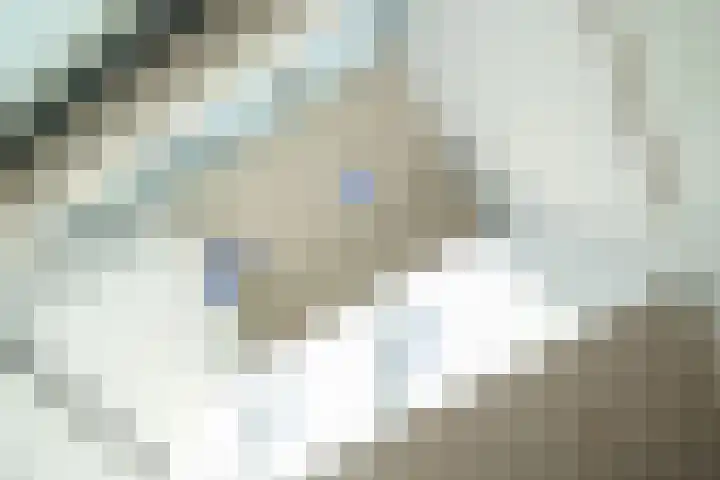 Verlengde Willemstraat 12 Groningen thumbnail 20