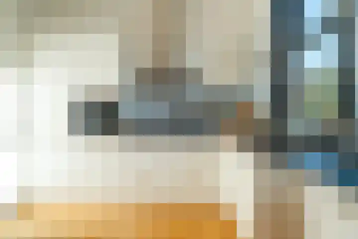 Verlengde Willemstraat 12 Groningen thumbnail 23