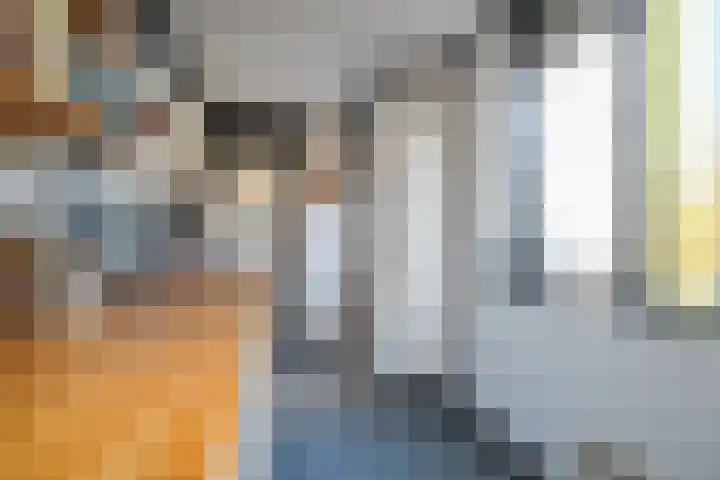 Verlengde Willemstraat 12 Groningen thumbnail 28