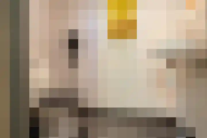 Verlengde Willemstraat 12 Groningen thumbnail 30