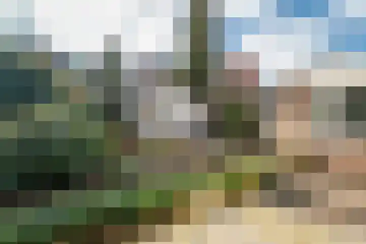 Verlengde Willemstraat 12 Groningen thumbnail 50