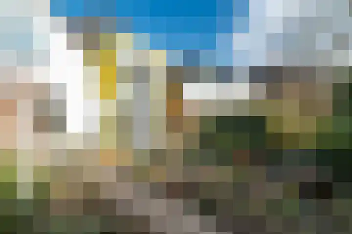 Verlengde Willemstraat 12 Groningen thumbnail 51
