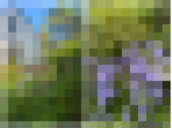 Verlengde Willemstraat 12 Groningen thumbnail 52