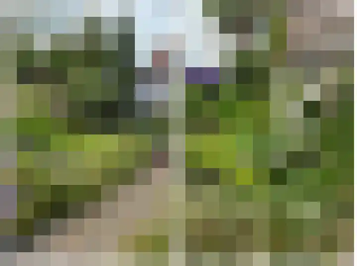 Verlengde Willemstraat 12 Groningen thumbnail 54