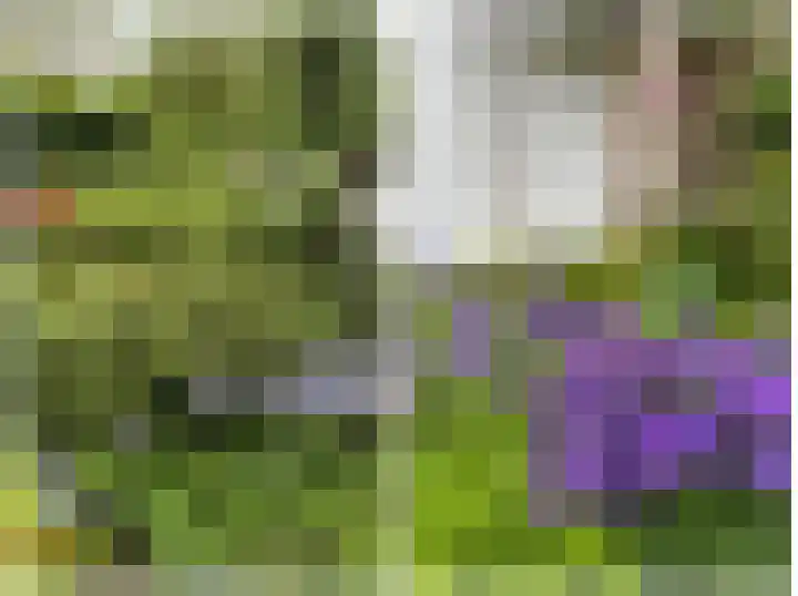 Verlengde Willemstraat 12 Groningen thumbnail 55