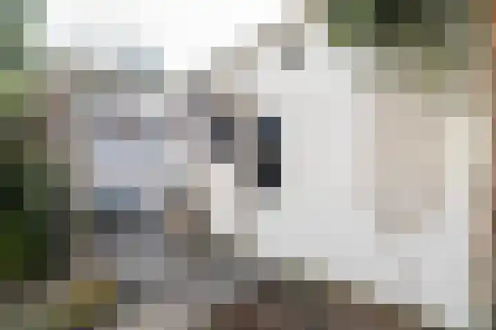 Verlengde Willemstraat 12 Groningen thumbnail 56