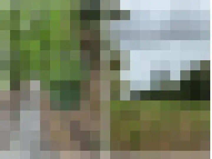 Verlengde Willemstraat 12 Groningen thumbnail 59
