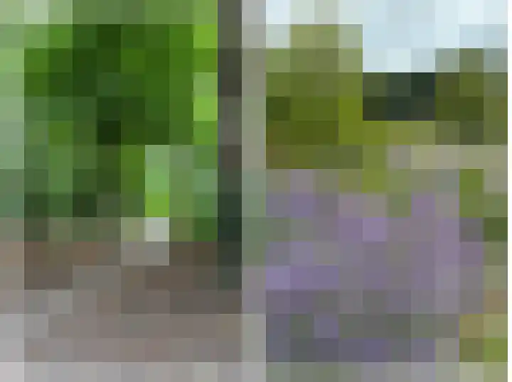 Verlengde Willemstraat 12 Groningen thumbnail 60