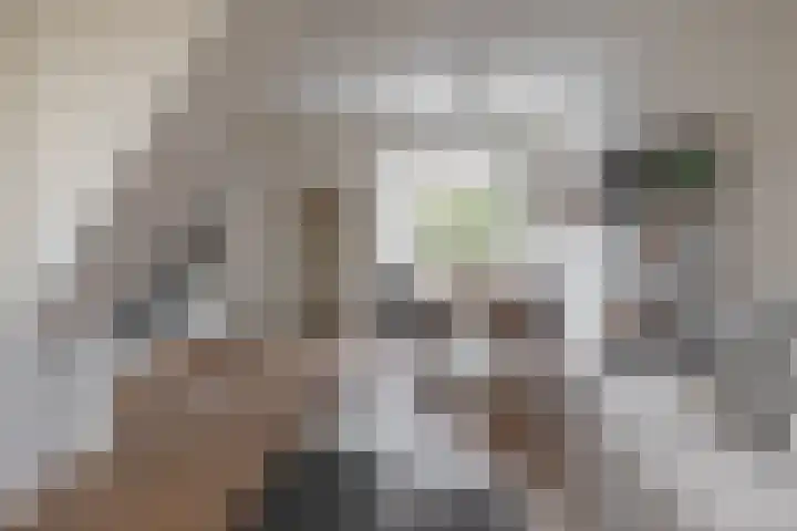 Verlengde Willemstraat 14 Groningen thumbnail 13
