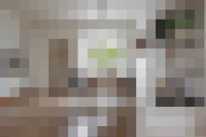Verlengde Willemstraat 14 Groningen thumbnail 15