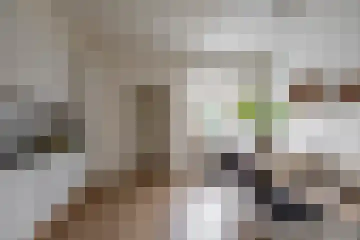 Verlengde Willemstraat 14 Groningen thumbnail 18