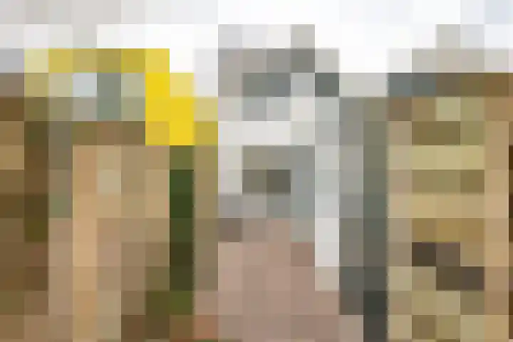 Verlengde Willemstraat 14 Groningen thumbnail 27